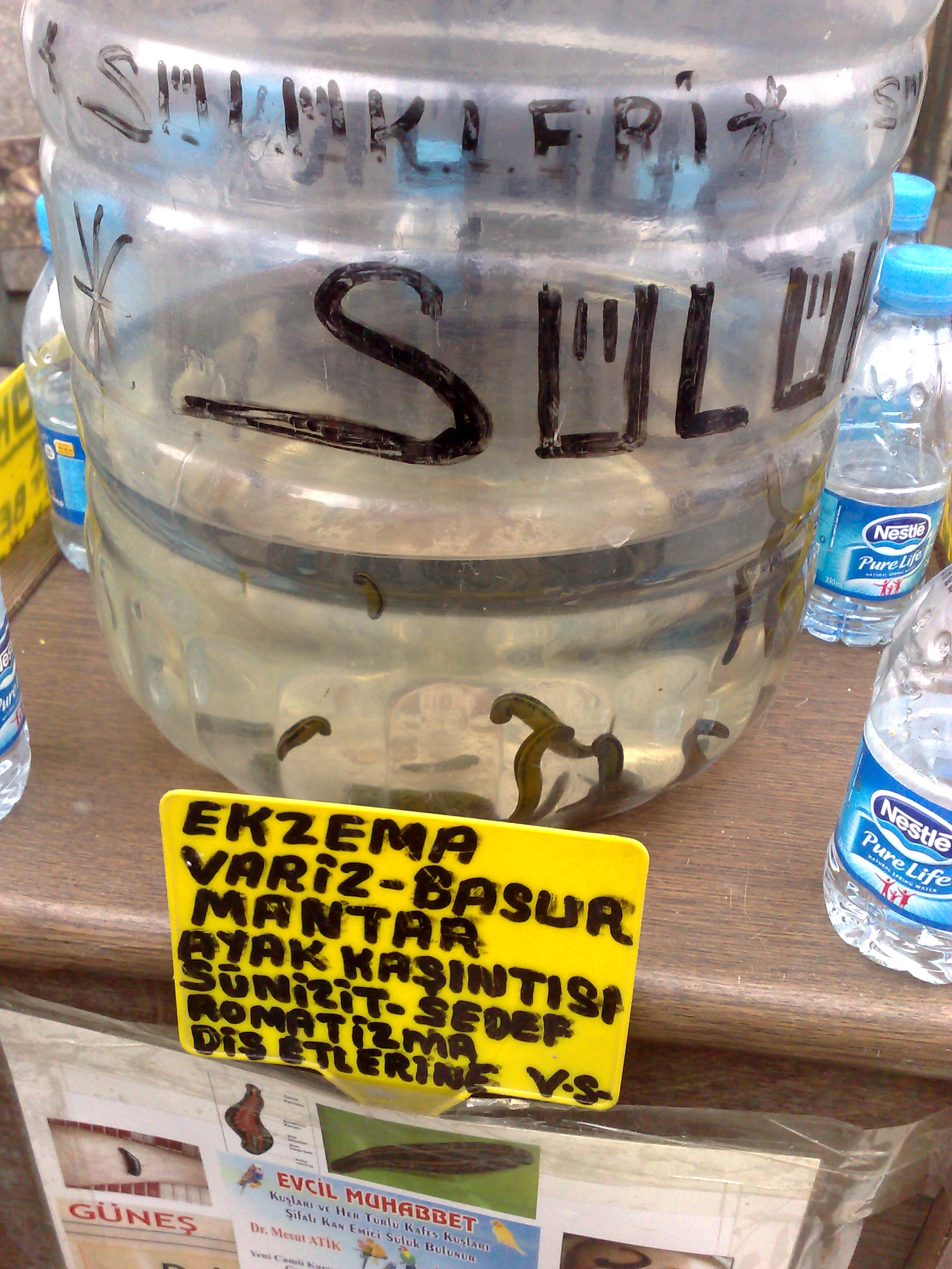 suluk_3